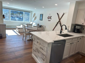 Beautiful Renovated 1BR Lakeside Condo condo